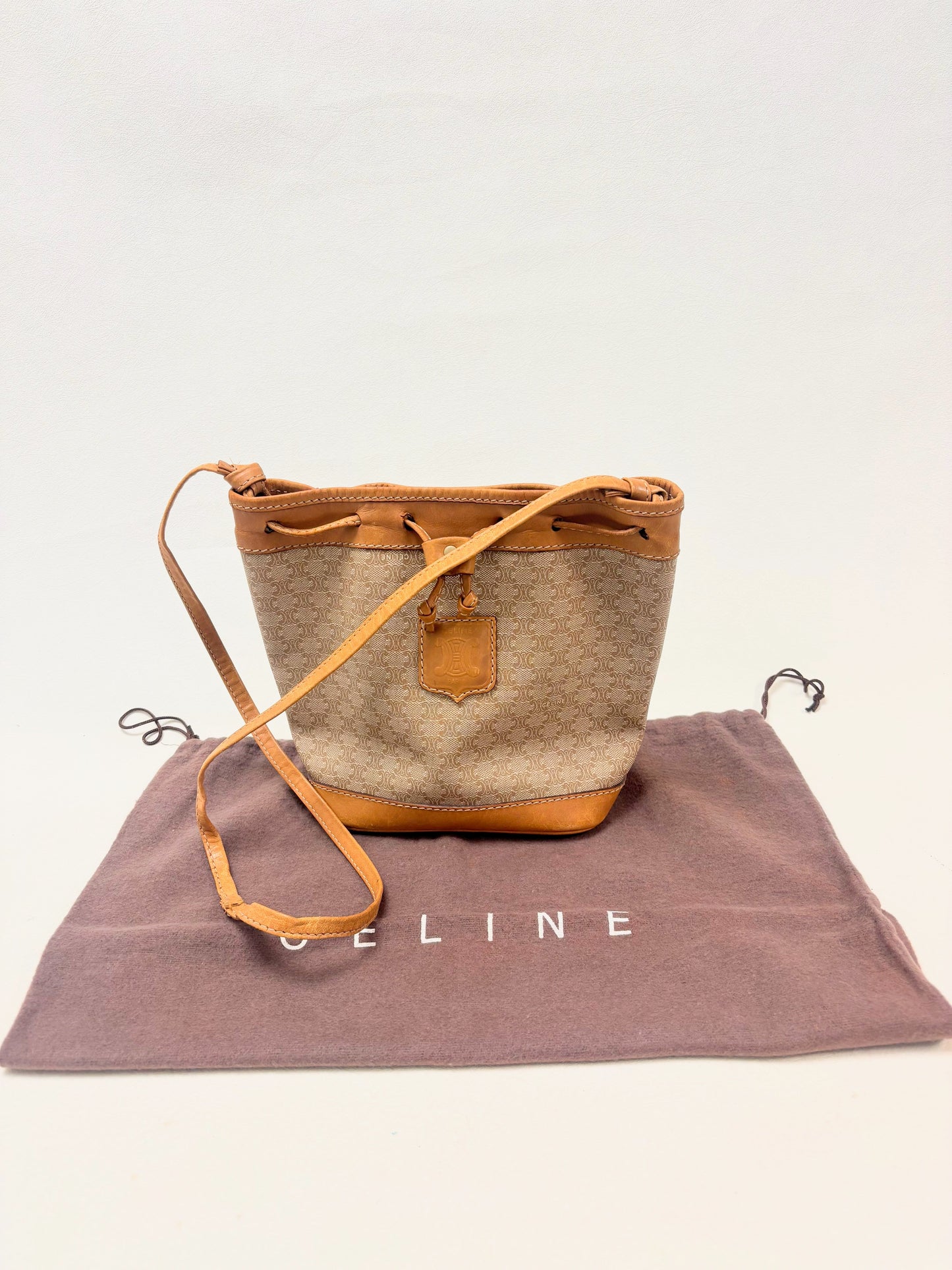 CÉLINE Sac Seau Triomphe PM
